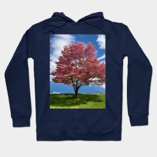 Blooming Tree Hoodie